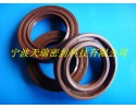 供應(yīng)進(jìn)口氟膠油封