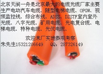 電動(dòng)汽車電纜