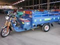 豐收電動(dòng)車—誠招經(jīng)銷商——大型水電載貨