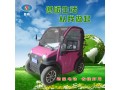 全封閉電動車 電動汽車  老年代步車