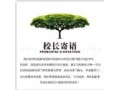 口碑好的重慶國際中學|一流的教育培訓就在重慶巴川國際學校