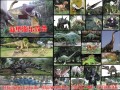 游樂設(shè)備廠家，要買專業(yè)的穿越侏羅紀(jì)，當(dāng)選新型游樂設(shè)備玩具公司