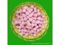 銷量好的山楂球價(jià)格范圍