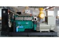 咨詢柴油發(fā)電機(jī)組價格—到泰州陽光發(fā)電機(jī)組