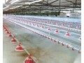 【永盛】萊蕪喂料機(jī)  臨沂喂料機(jī)  德州喂料機(jī)直銷