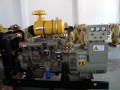 發(fā)電機組、柴油機發(fā)電機及柴油發(fā)電機組、專業(yè)制造——泰州陽光