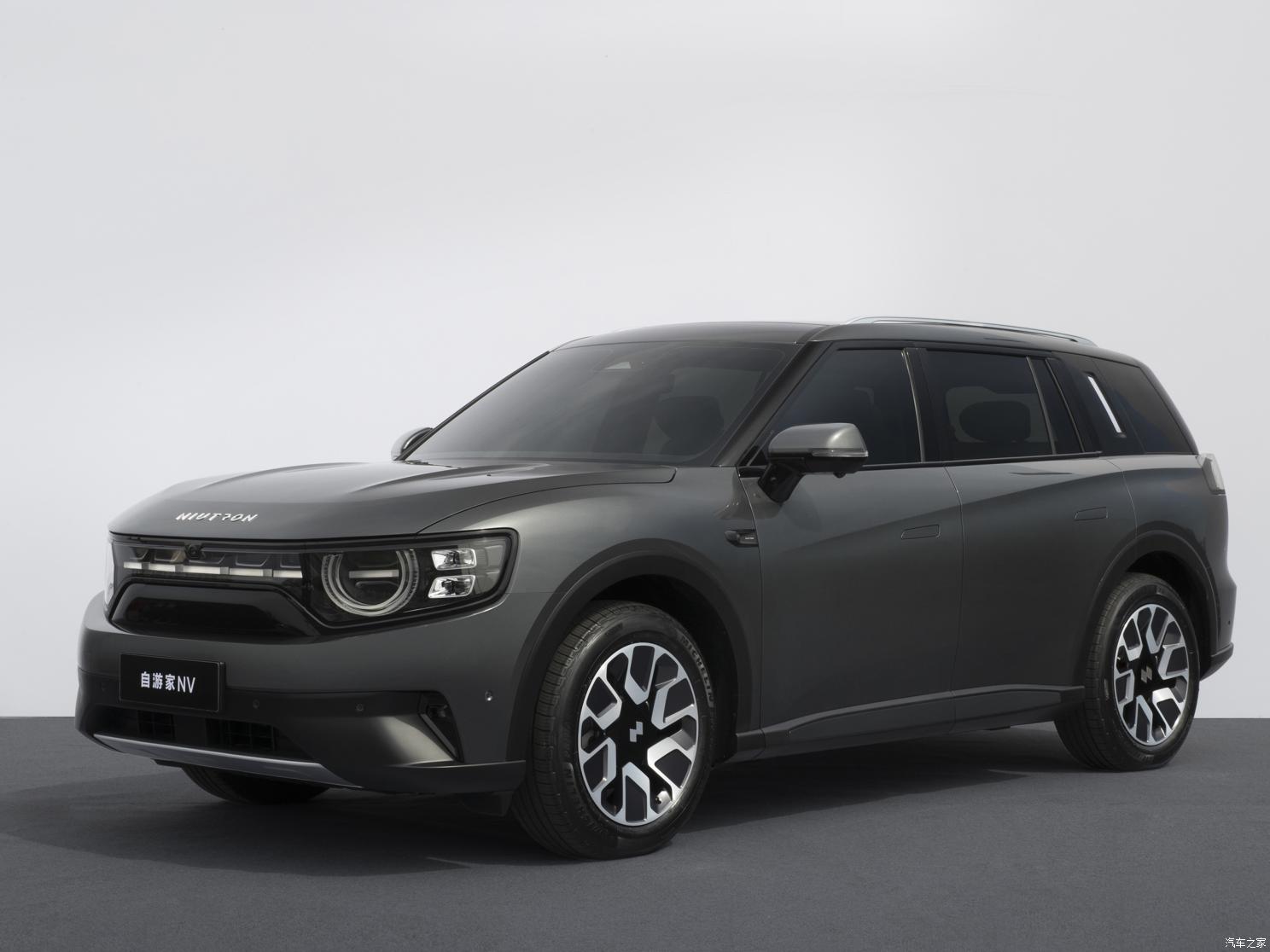大乘汽車 自游家NV 2022款 純電標準續(xù)航版