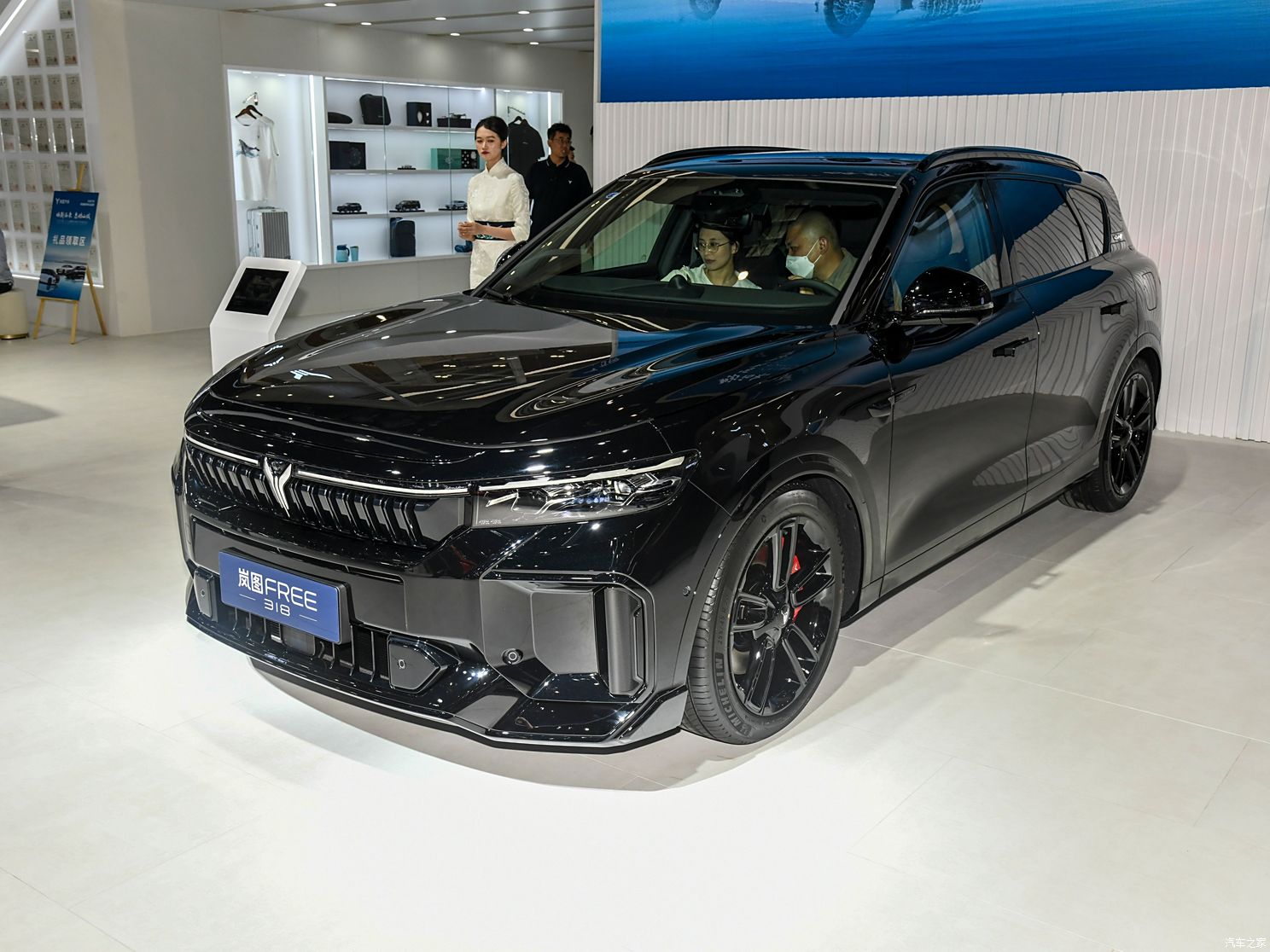嵐圖汽車 嵐圖FREE 2025款 318
