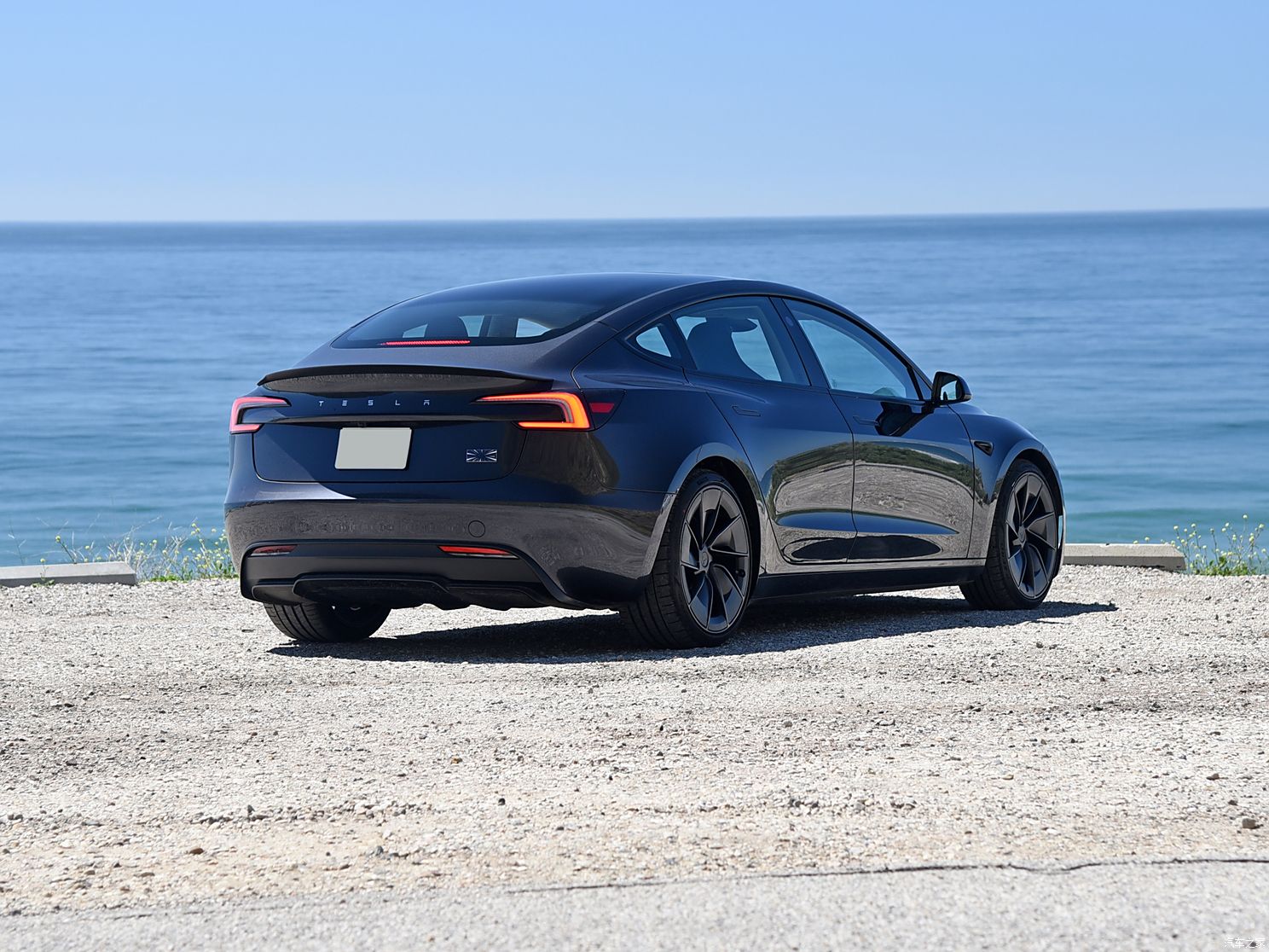 特斯拉（進口） Model 3(進口) 2024款 Performance